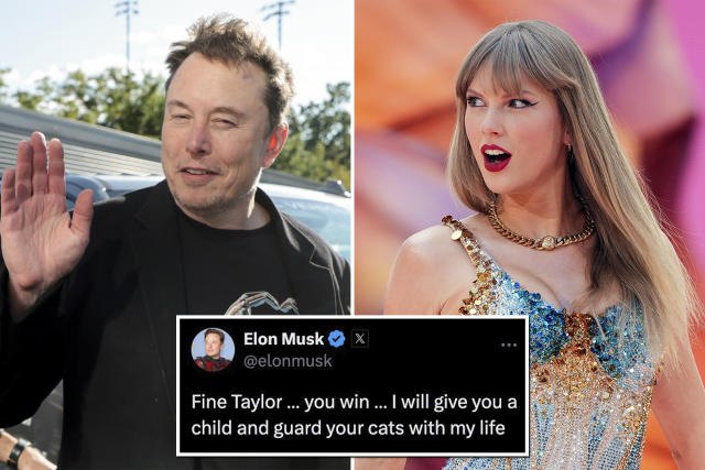 Taylor Swift has been officially removed from the 2025 Grammy nomination list after Elon Musk