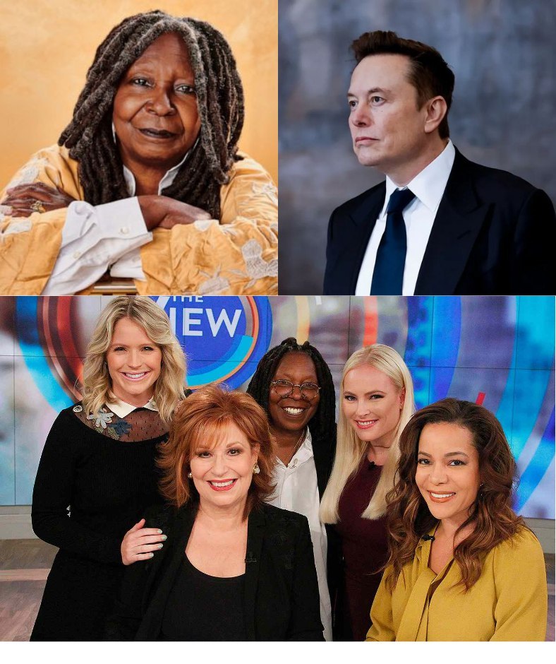 Elon Musk called for a boycott of The View, calling it “a meeting place for ignorant women.”